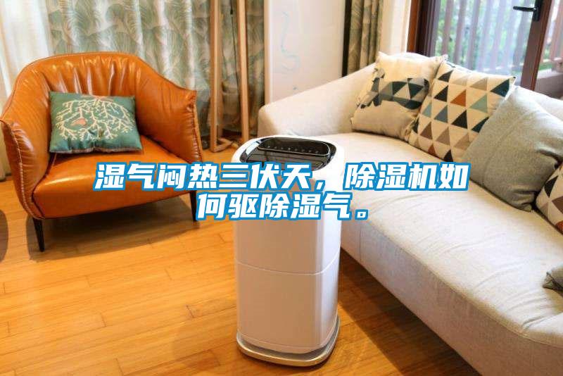 濕氣悶熱三伏天，除濕機如何驅除濕氣。
