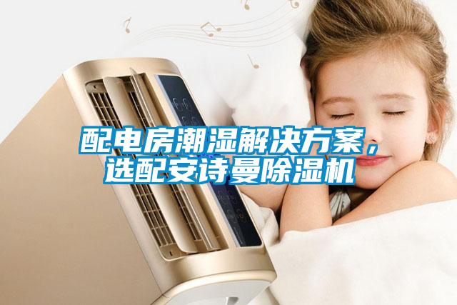 配電房潮濕解決方案，選配安詩曼除濕機