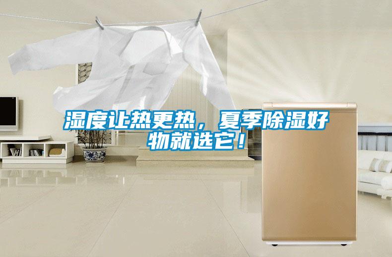 濕度讓熱更熱，夏季除濕好物就選它！