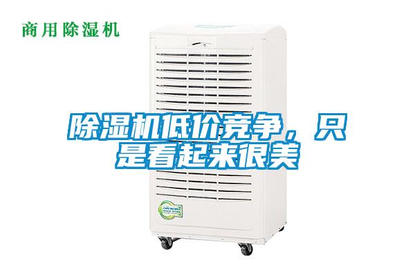 除濕機(jī)低價(jià)競(jìng)爭(zhēng)，只是看起來很美
