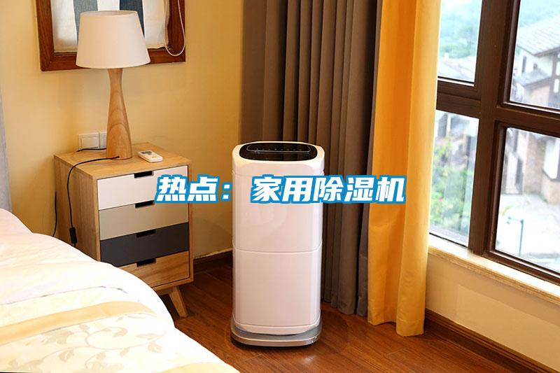 熱點：家用除濕機(jī)
