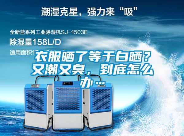 衣服曬了等于白曬？又潮又臭，到底怎么辦…