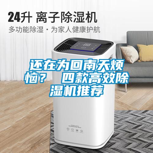 還在為回南天煩惱？ 四款高效除濕機推薦