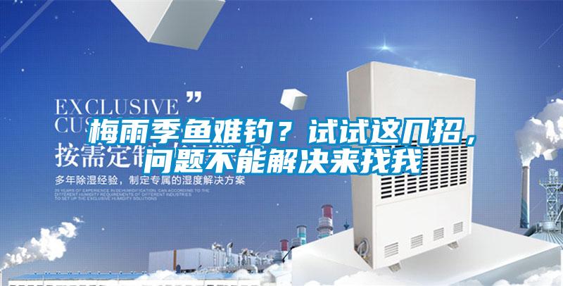 梅雨季魚難釣？試試這幾招，問題不能解決來找我