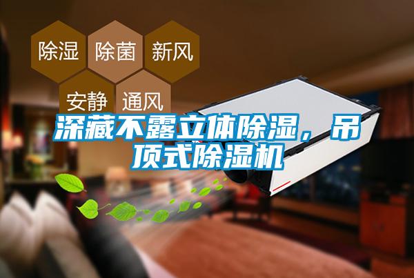 深藏不露立體除濕，吊頂式除濕機(jī)