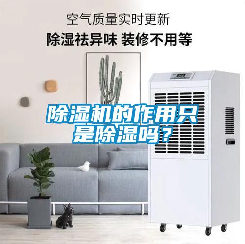 除濕機(jī)的作用只是除濕嗎？