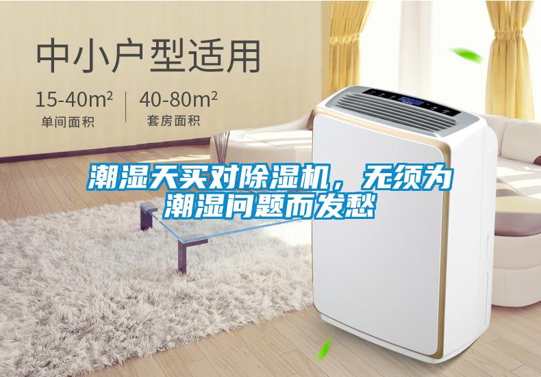 潮濕天買對除濕機，無須為潮濕問題而發愁
