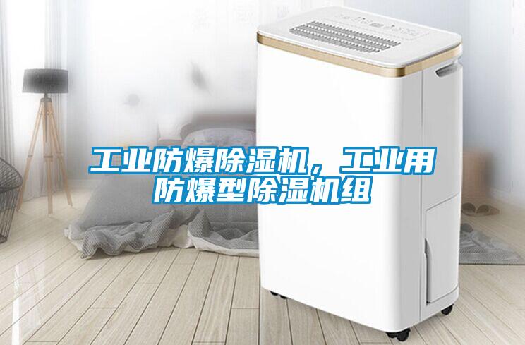 工業防爆除濕機，工業用防爆型除濕機組
