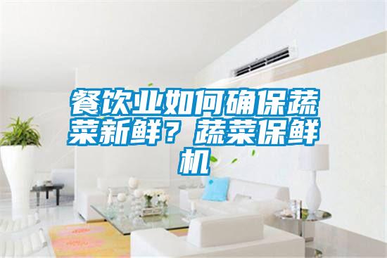 餐飲業(yè)如何確保蔬菜新鮮？蔬菜保鮮機