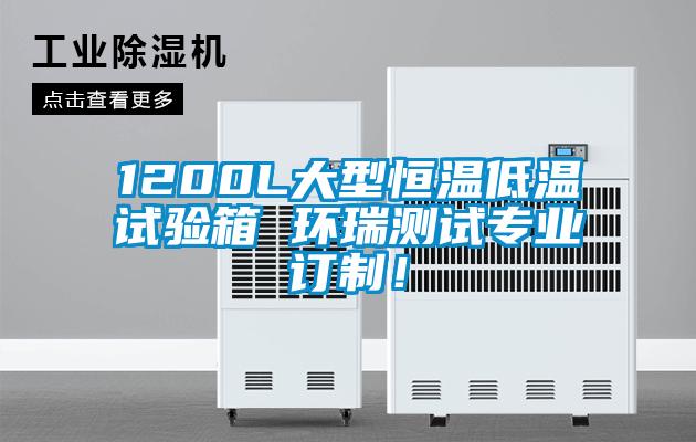1200L大型恒溫低溫試驗箱 環瑞測試專業訂制！