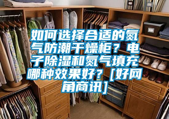 如何選擇合適的氮?dú)夥莱备稍锕瘢侩娮映凉窈偷獨(dú)馓畛淠姆N效果好？[好網(wǎng)角商訊]