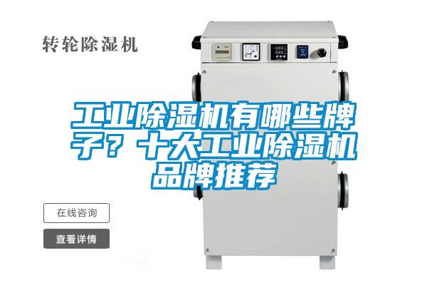 工業(yè)除濕機有哪些牌子？十大工業(yè)除濕機品牌推薦
