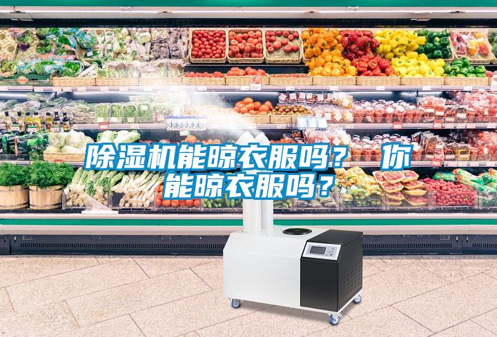 除濕機能晾衣服嗎？ 你能晾衣服嗎？