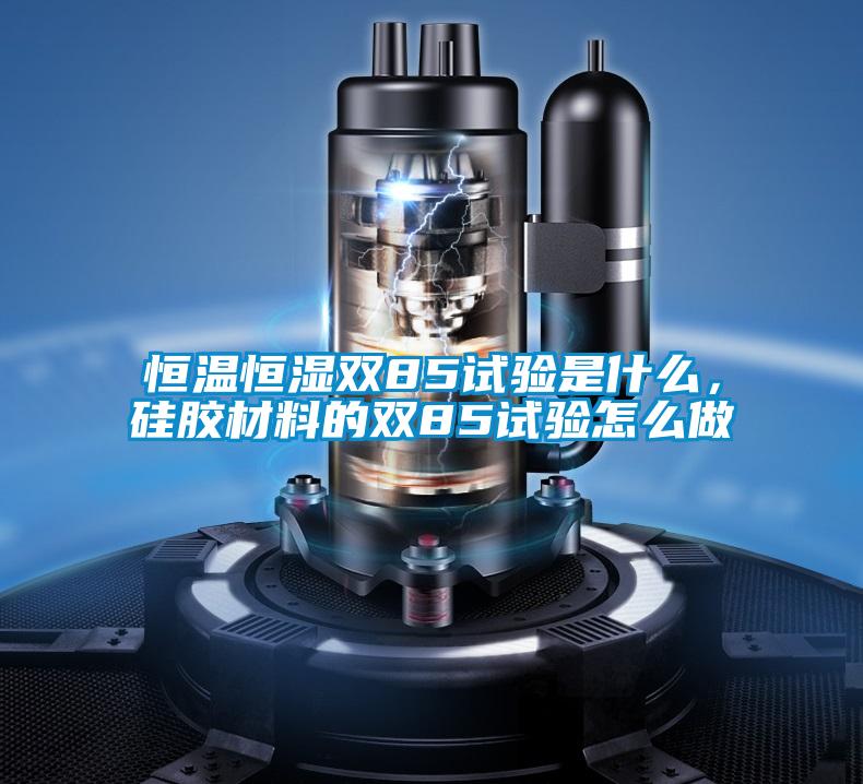 恒溫恒濕雙85試驗是什么，硅膠材料的雙85試驗怎么做