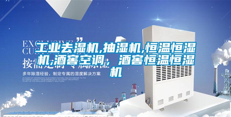 工業(yè)去濕機,抽濕機,恒溫恒濕機,酒窖空調(diào)，酒窖恒溫恒濕機