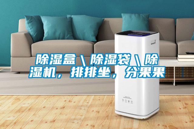 除濕盒＼除濕袋＼除濕機，排排坐，分果果