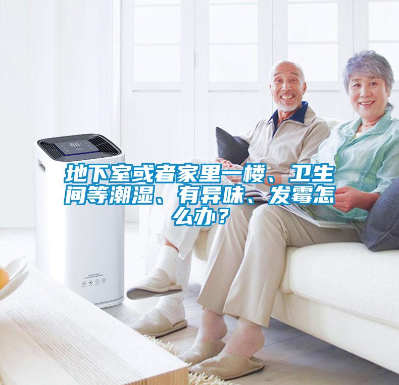 地下室或者家里一樓、衛生間等潮濕、有異味、發霉怎么辦？