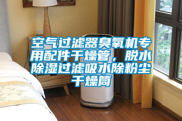 空氣過濾器臭氧機專用配件干燥管，脫水除濕過濾吸水除粉塵干燥筒