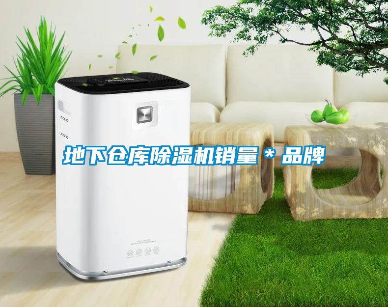 地下倉(cāng)庫(kù)除濕機(jī)銷(xiāo)量＊品牌