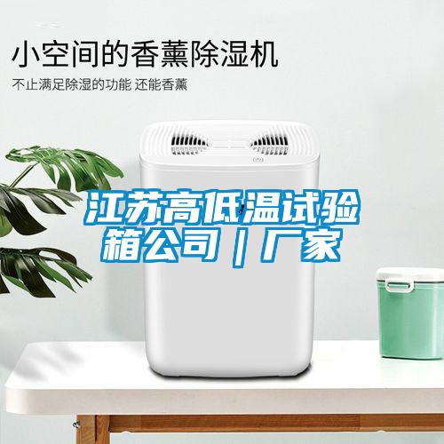 江蘇高低溫試驗(yàn)箱公司｜廠(chǎng)家