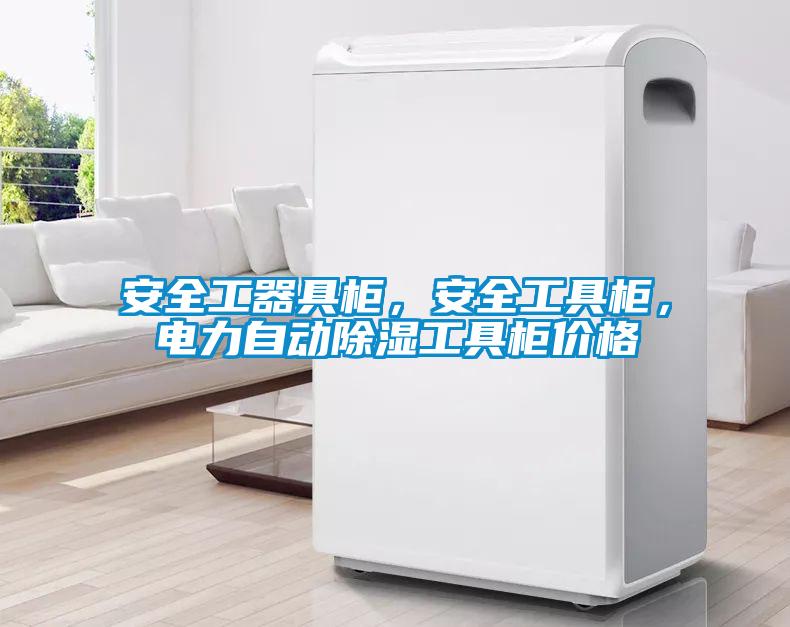 安全工器具柜，安全工具柜，電力自動除濕工具柜價(jià)格