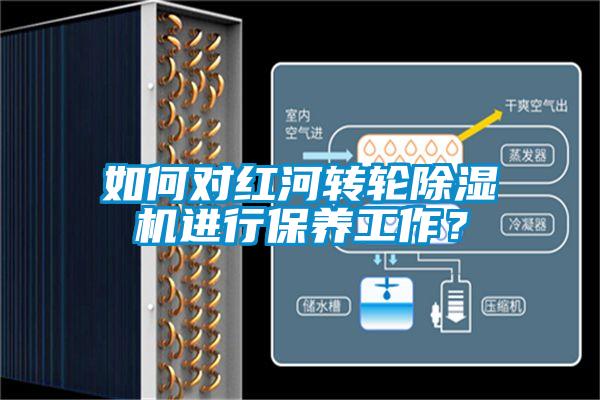 如何對紅河轉輪除濕機進行保養工作？