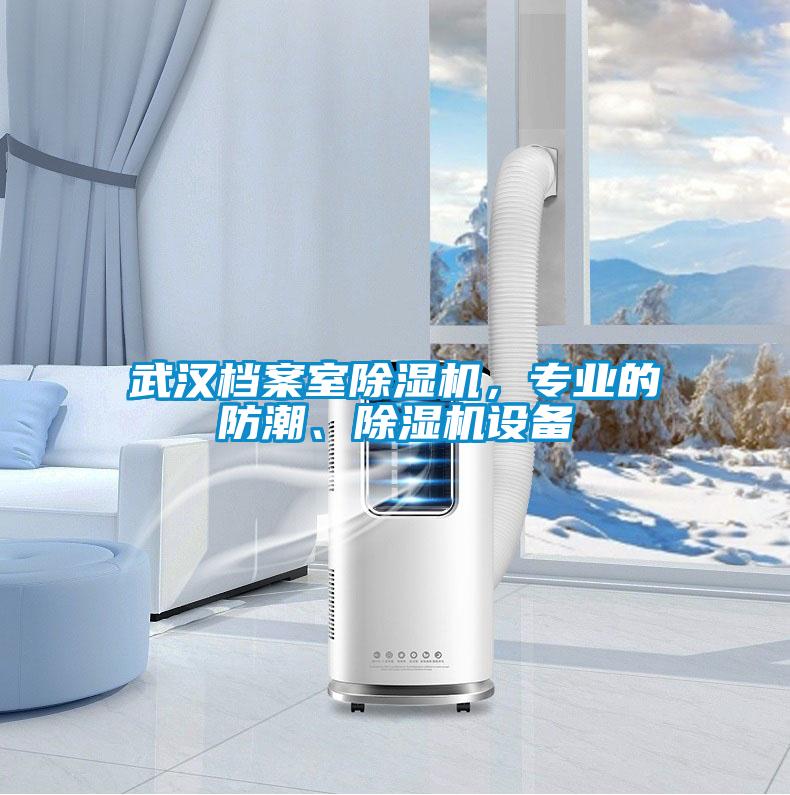 武漢檔案室除濕機，專業(yè)的防潮、除濕機設(shè)備