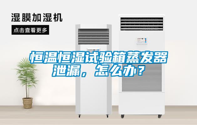 恒溫恒濕試驗箱蒸發器泄漏，怎么辦？