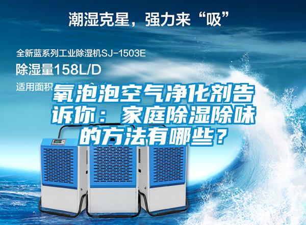 氧泡泡空氣凈化劑告訴你：家庭除濕除味的方法有哪些？