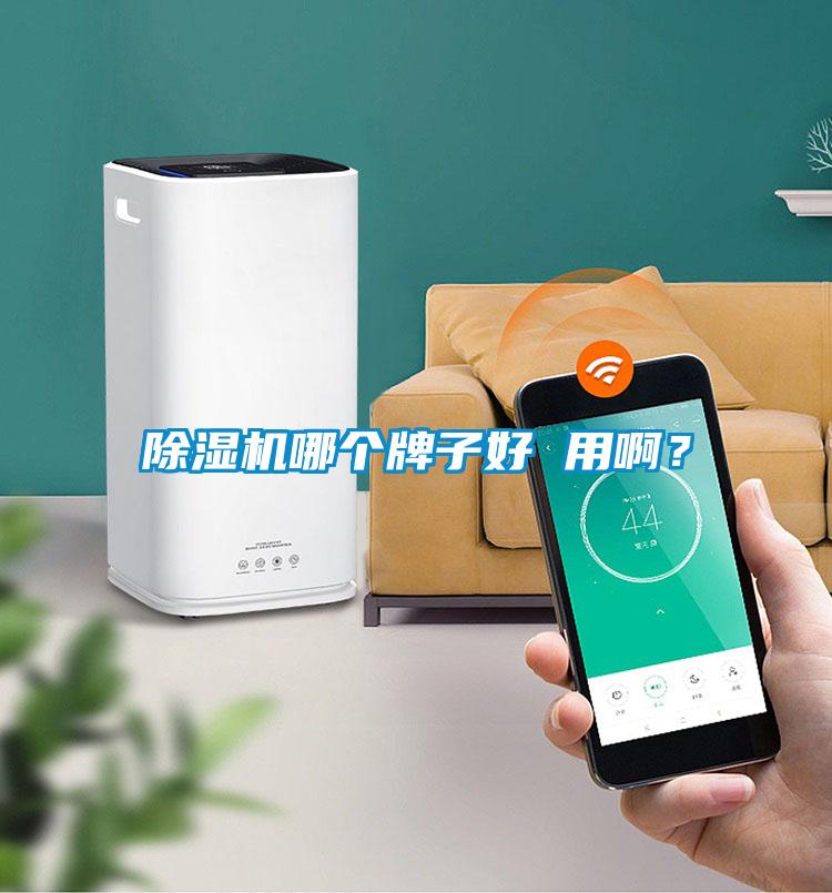 除濕機(jī)哪個牌子好 用啊？