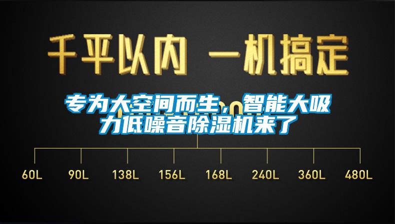專為大空間而生，智能大吸力低噪音除濕機來了