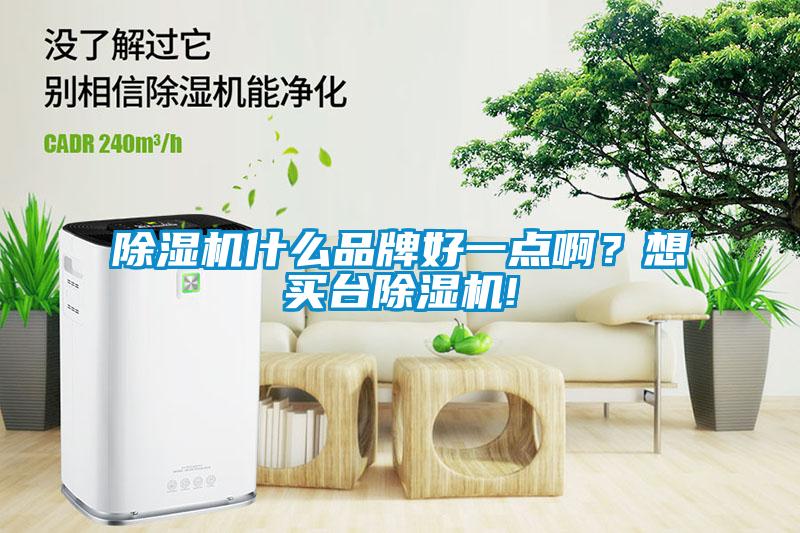 除濕機(jī)什么品牌好一點(diǎn)啊？想買臺除濕機(jī)!
