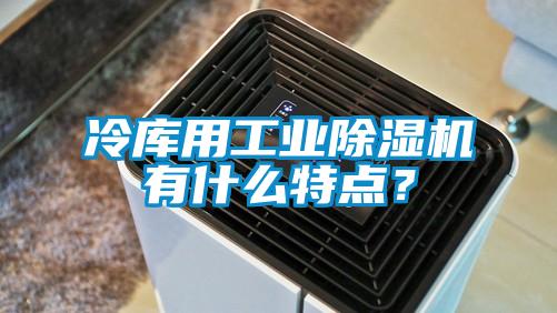 冷庫用工業(yè)除濕機(jī)有什么特點(diǎn)？