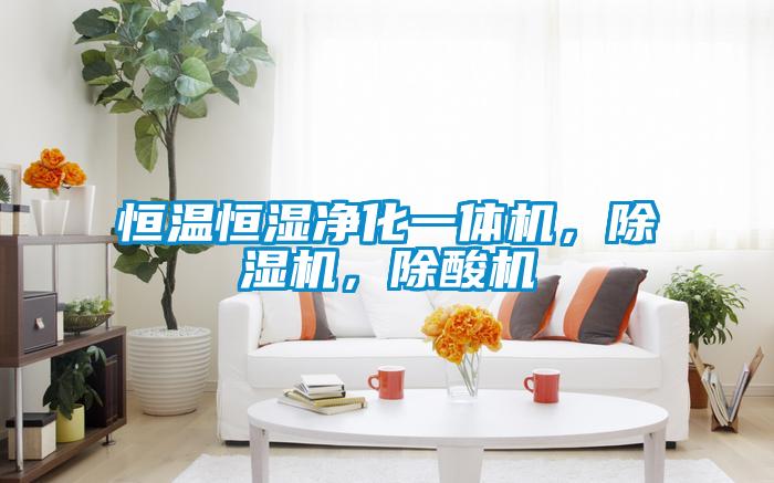 恒溫恒濕凈化一體機，除濕機，除酸機