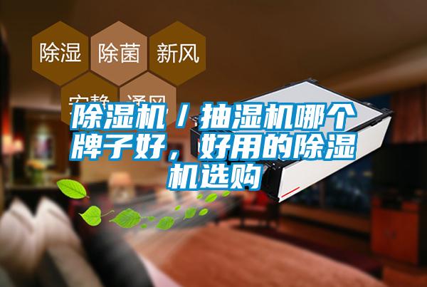 除濕機(jī)／抽濕機(jī)哪個(gè)牌子好，好用的除濕機(jī)選購