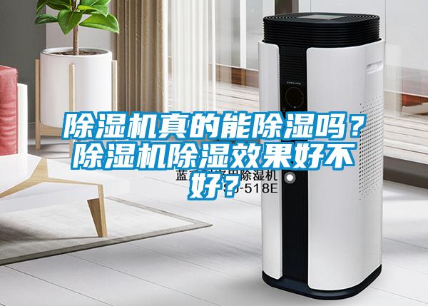 除濕機真的能除濕嗎？除濕機除濕效果好不好？