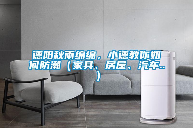 德陽秋雨綿綿，小德教你如何防潮（家具、房屋、汽車..）