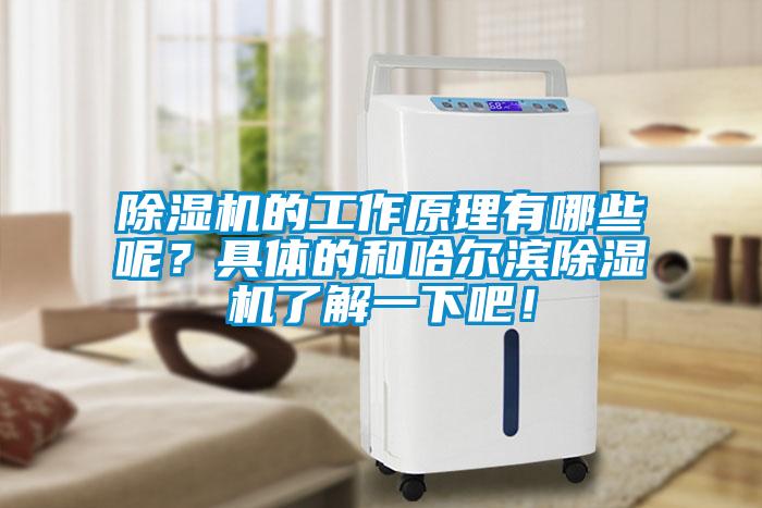 除濕機的工作原理有哪些呢？具體的和哈爾濱除濕機了解一下吧！