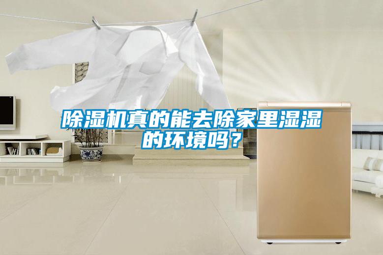 除濕機真的能去除家里濕濕的環境嗎？