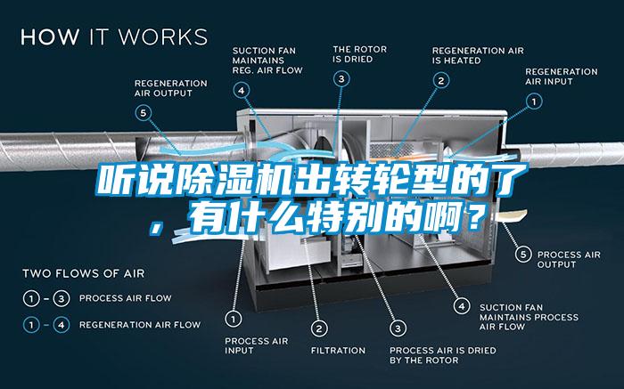 聽說除濕機出轉(zhuǎn)輪型的了，有什么特別的啊？