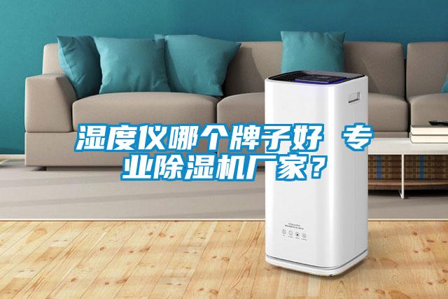 濕度儀哪個牌子好 專業除濕機廠家？