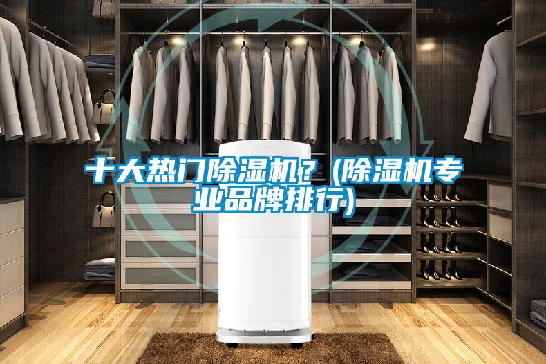 十大熱門除濕機？(除濕機專業(yè)品牌排行)
