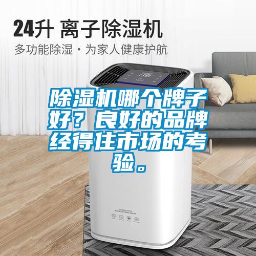 除濕機哪個牌子好？良好的品牌經得住市場的考驗。