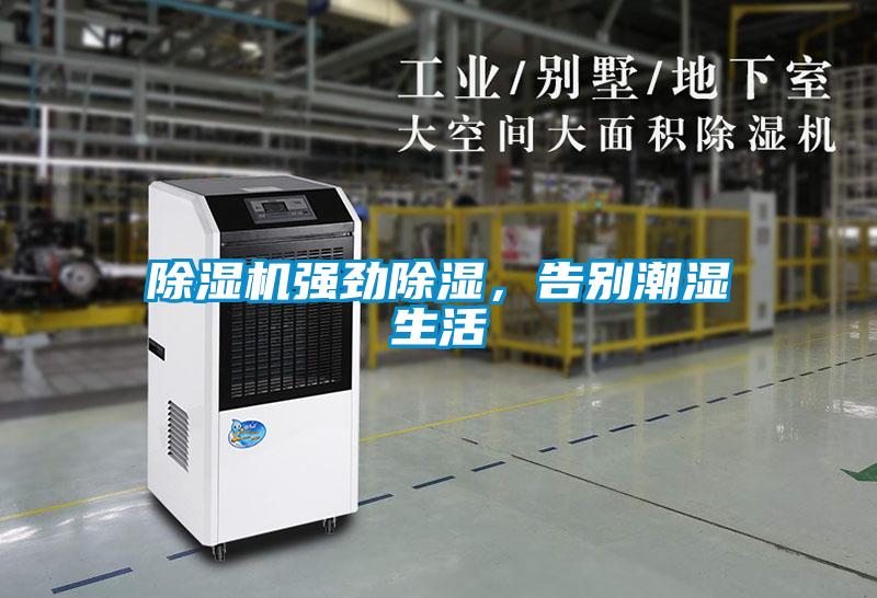 除濕機(jī)強(qiáng)勁除濕，告別潮濕生活