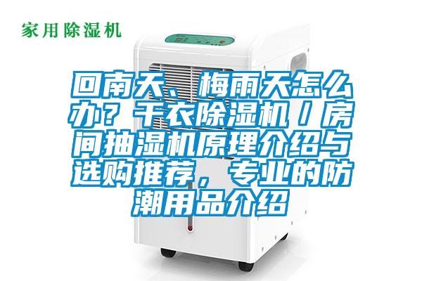 回南天、梅雨天怎么辦？干衣除濕機／房間抽濕機原理介紹與選購推薦，專業的防潮用品介紹