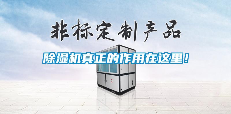 除濕機(jī)真正的作用在這里！