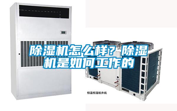 除濕機怎么樣？除濕機是如何工作的