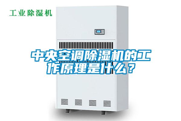 中央空調(diào)除濕機的工作原理是什么？