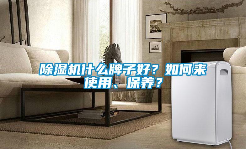 除濕機(jī)什么牌子好？如何來(lái)使用、保養(yǎng)？