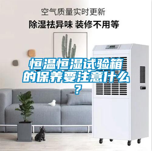 恒溫恒濕試驗(yàn)箱的保養(yǎng)要注意什么？